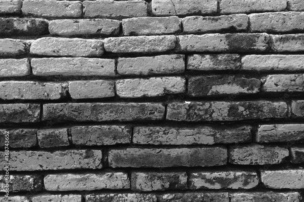 Brick wall full with green moss and ground Brick wall full with green moss and ground