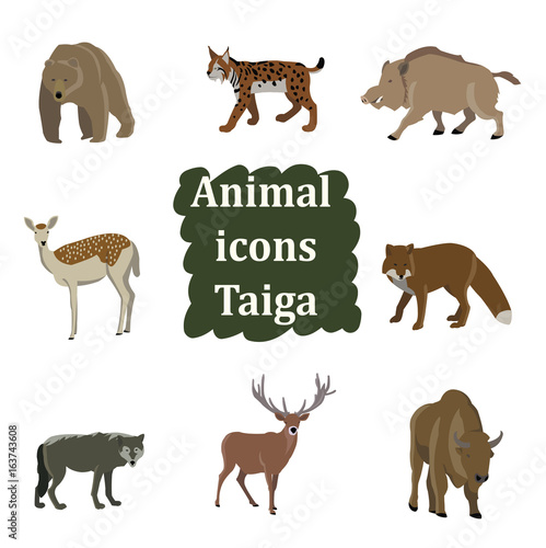 Set of forest animals. Bear  bison  wild boar  fox  wolf  llama  lynx  moose
