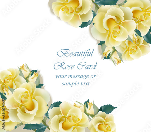 Yellow roses card Vector. delicate summer card. Springtime fresh natural comp...