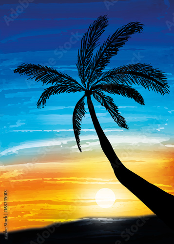 Palm on the sunset