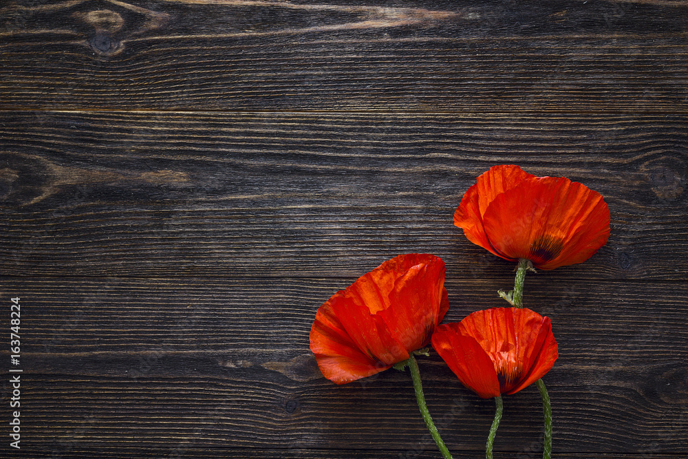 Obraz premium Czerwone maki kwiaty na ciemnym tle drewna.