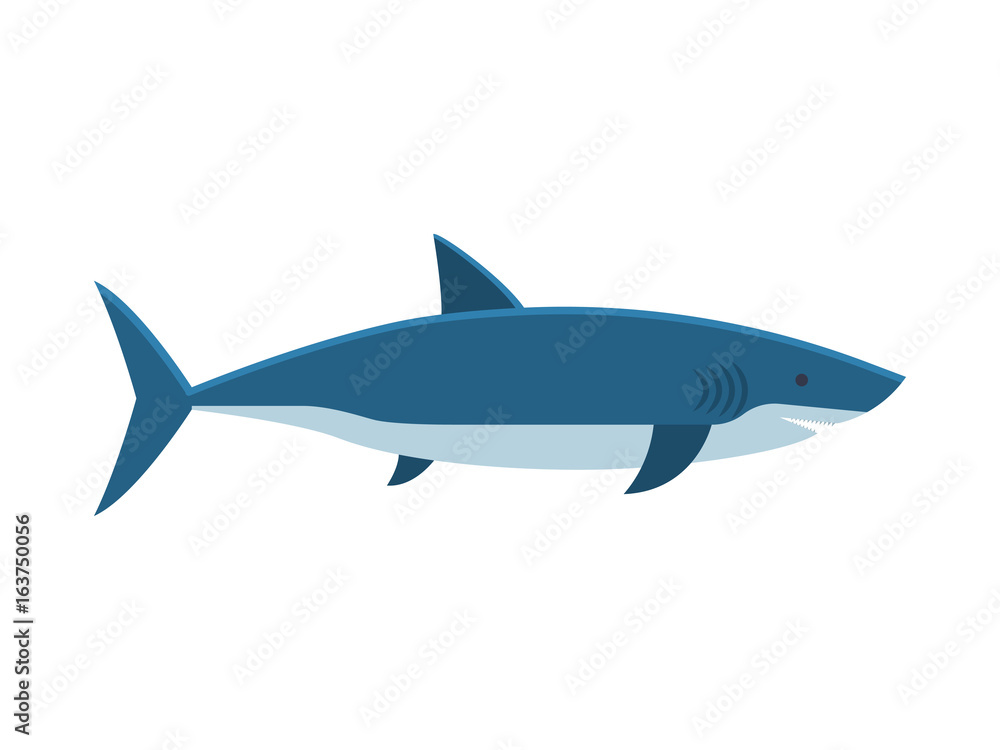 Great white shark isolated on white background. Vector illustration in flat or cartoon style.