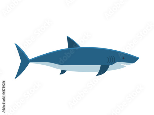 Great white shark isolated on white background. Vector illustration in flat or cartoon style.