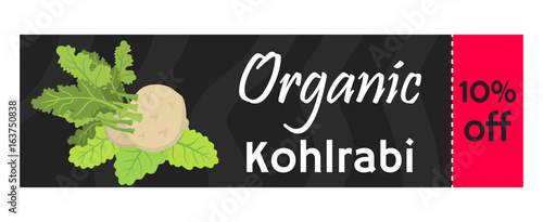 Green kohlrabi coupon, vaucher, template. Type of cabbage. Vector illustration