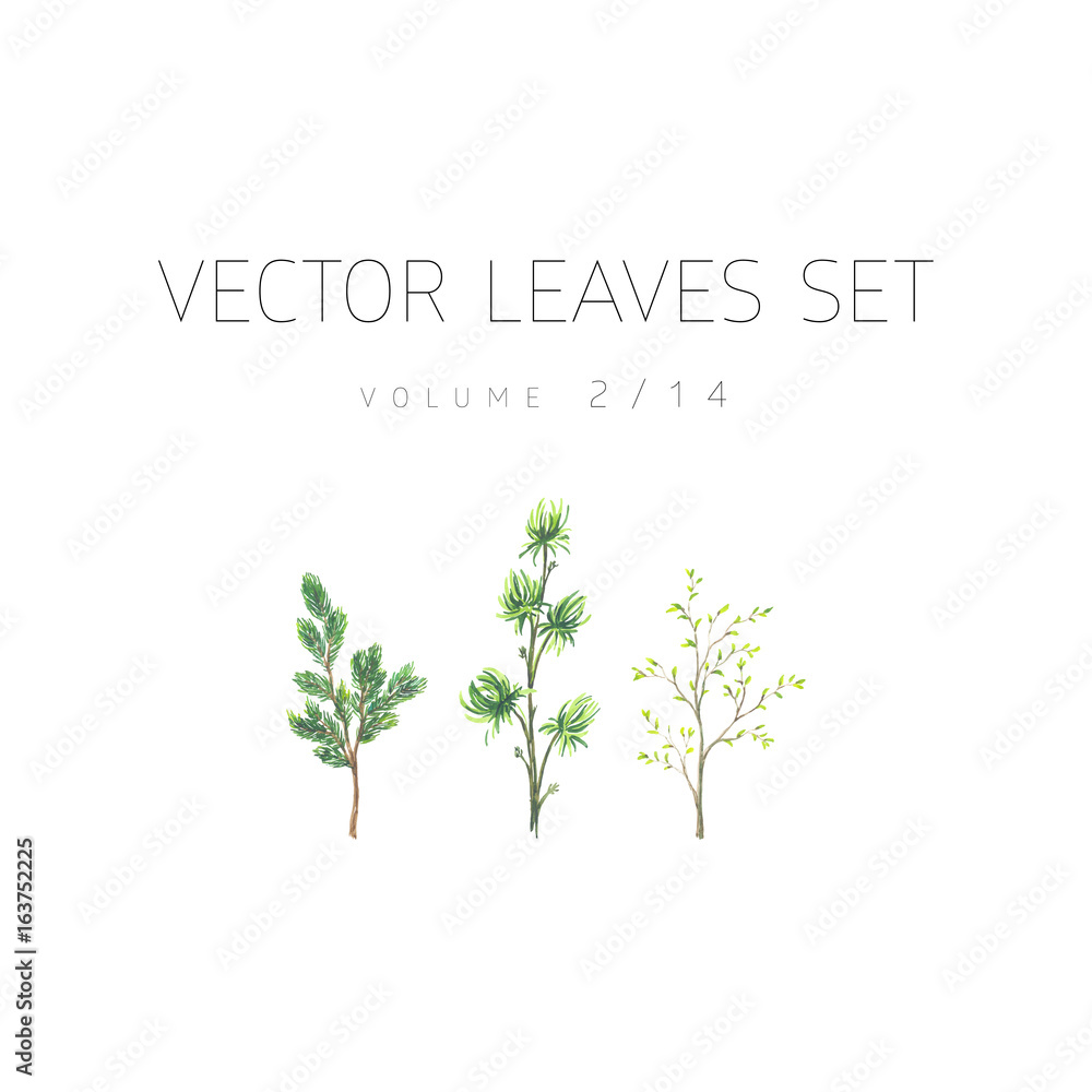 Obraz premium Bright watercolor floral vector set