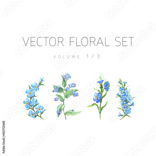 Bright watercolor floral vector set