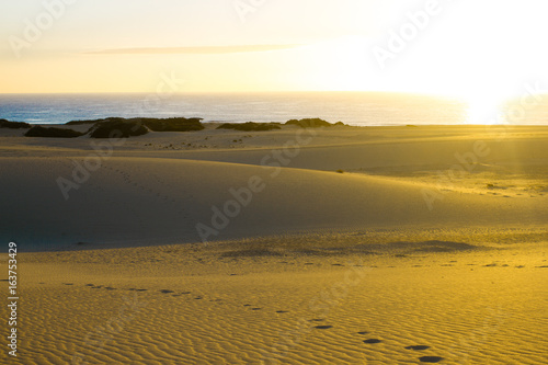 Slope hill sand on yellow dunes on blue sky background. Sunrise, morning. Sustainable ecosystem. Canary, Fuerteventura
