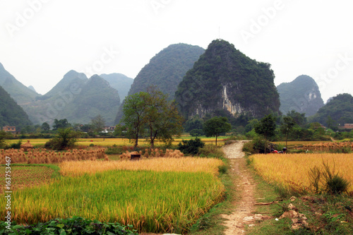 Paysage chinois