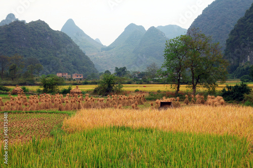 Paysage chinois