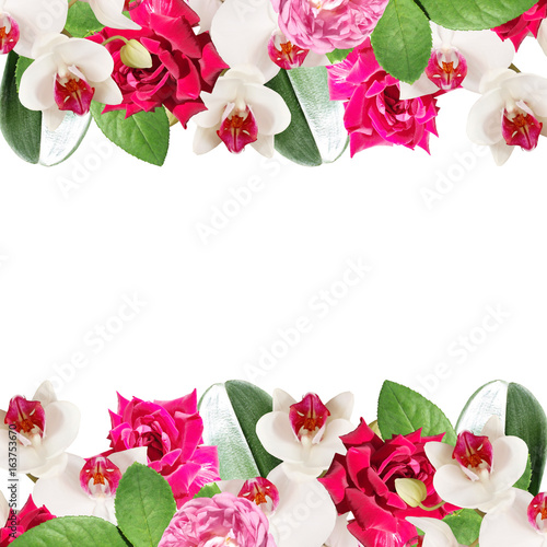 Beautiful floral background of white orchids and roses 