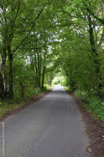 Countryside lane in Cheshire UK