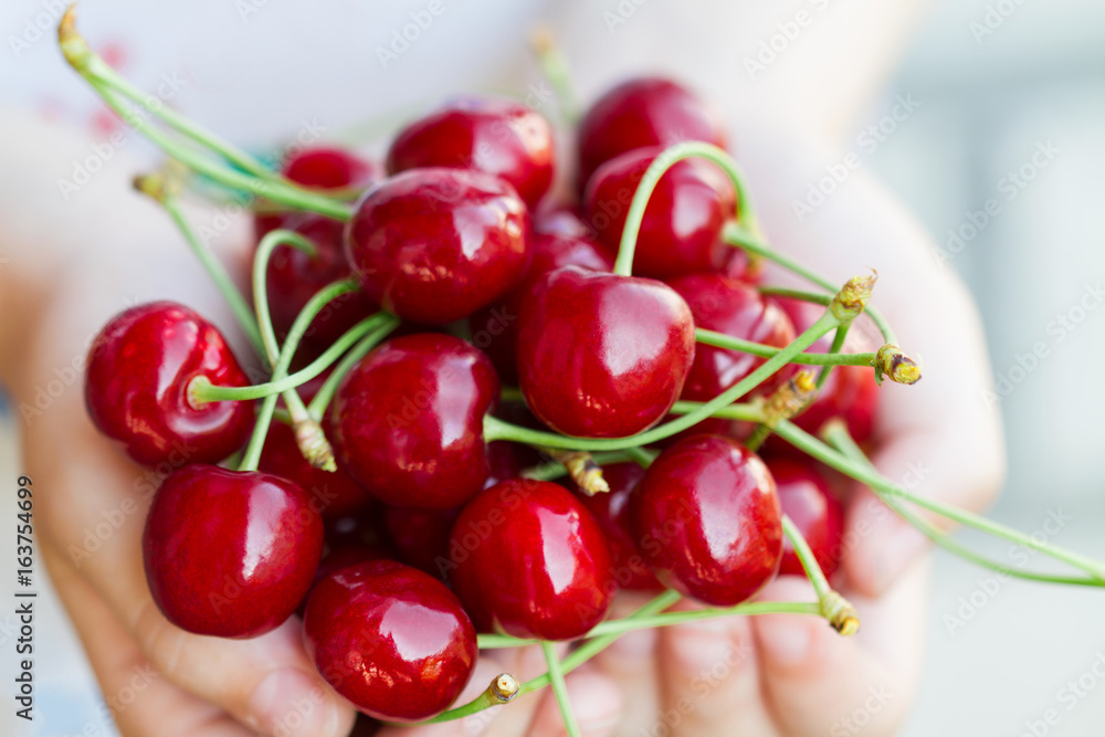 Red cherries in the child's hands. Selective focus Red cherries in the child's hands. Selective focus
