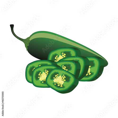 slice of raw jalapenos. vector illustration