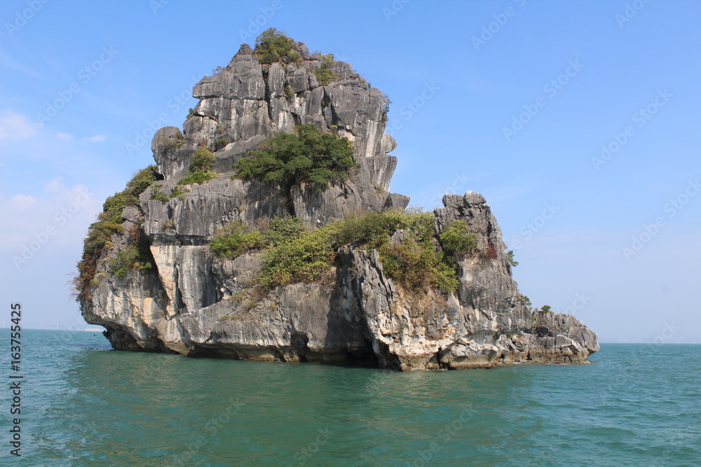 Rocher Baie d'Halong Vietnam