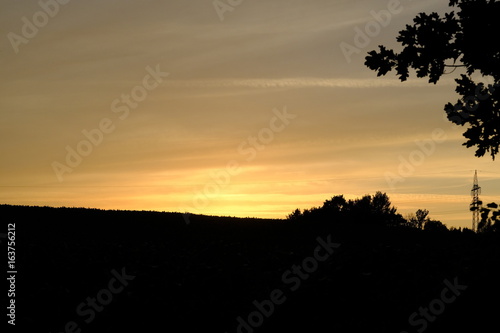 Ein Sommerabend in Ritterhude photo