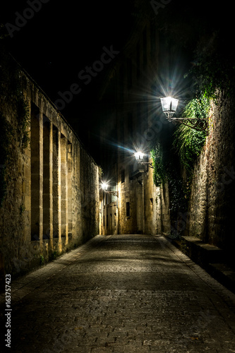 France - Sarlat-la-Can  da - ruelle d une ville m  di  vale de nuit - P  rigord - Dordogne  24 