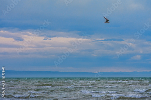 bird flying over surface of green sea waves with mountains on background  