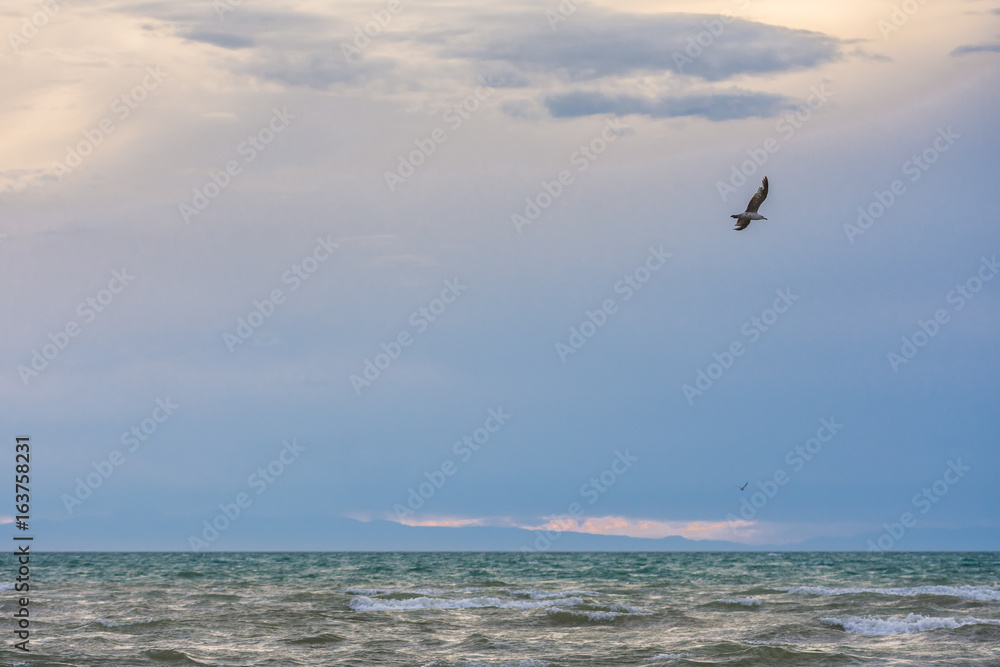 bird flying over surface of green sea waves at cloudy day 
