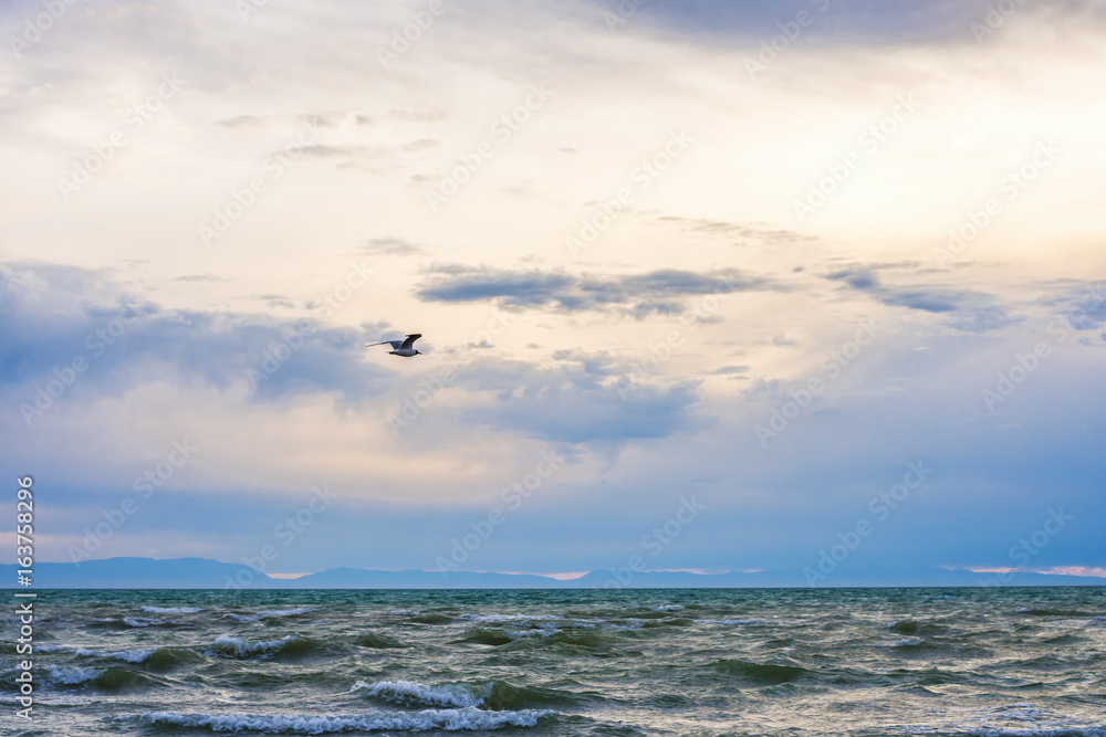 bird flying over surface of green sea waves with mountains on background
bird flying over surface of green sea waves with mountains on background