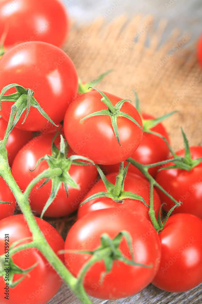 tomate grappe tomate grappe