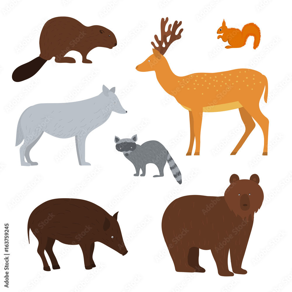 Forest animals. Forest animals.