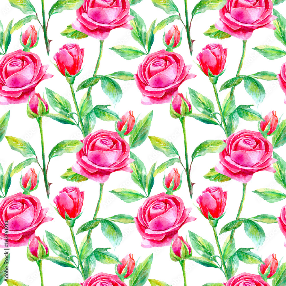 Seamless pattern of a  purple roses.Briar and herbs.Image for fabric, paper and other printing and web projects.Watercolor hand drawn illustration.White background.