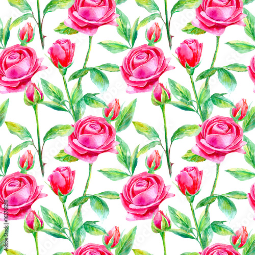 Seamless pattern of a  purple roses.Briar and herbs.Image for fabric  paper and other printing and web projects.Watercolor hand drawn illustration.White background.