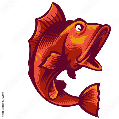 Large Mouth bash fish illustration for logo or banner apparel content local market