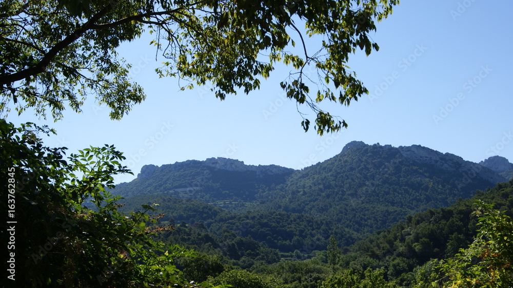 Obraz premium SONY DSC