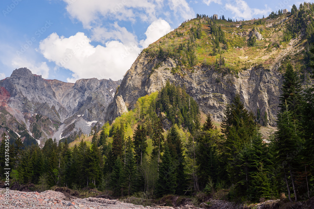Rocky cliff covered with coniferous forest, surrounded by gray rocky ridges