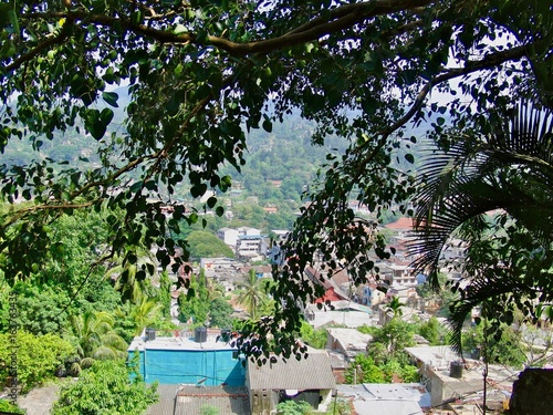 Tropical city of Kandy (Sri Lanka, Asia), UNESCO World Heritage Site & home to the Temple of the Tooth (Sri Dalada Maligawa): Lush exotic greenery with palm trees & (poor) village with houses & pool  © ICW