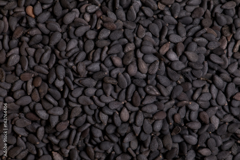 Sesame Sesame