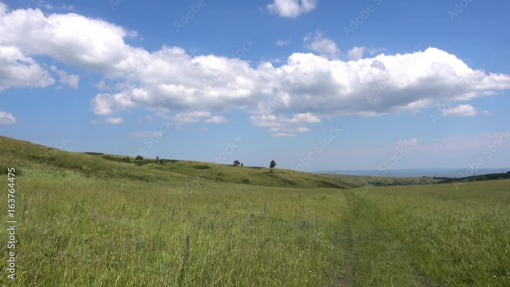 Yellow-green hill and sky with clouds. Wild grasses. Mixed grass. Summer sunny day. Beautiful summer landscape. Realtime video Yellow-green hill and sky with clouds. Wild grasses. Mixed grass. Summer sunny day. Beautiful summer landscape. Realtime video