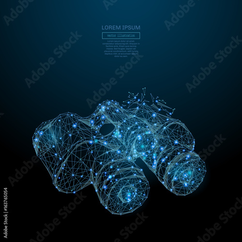 Abstract image of a binoculars in the form of a starry sky or space, consisting of points, lines, and shapes in the form of planets, stars and the universe. Vector business concept