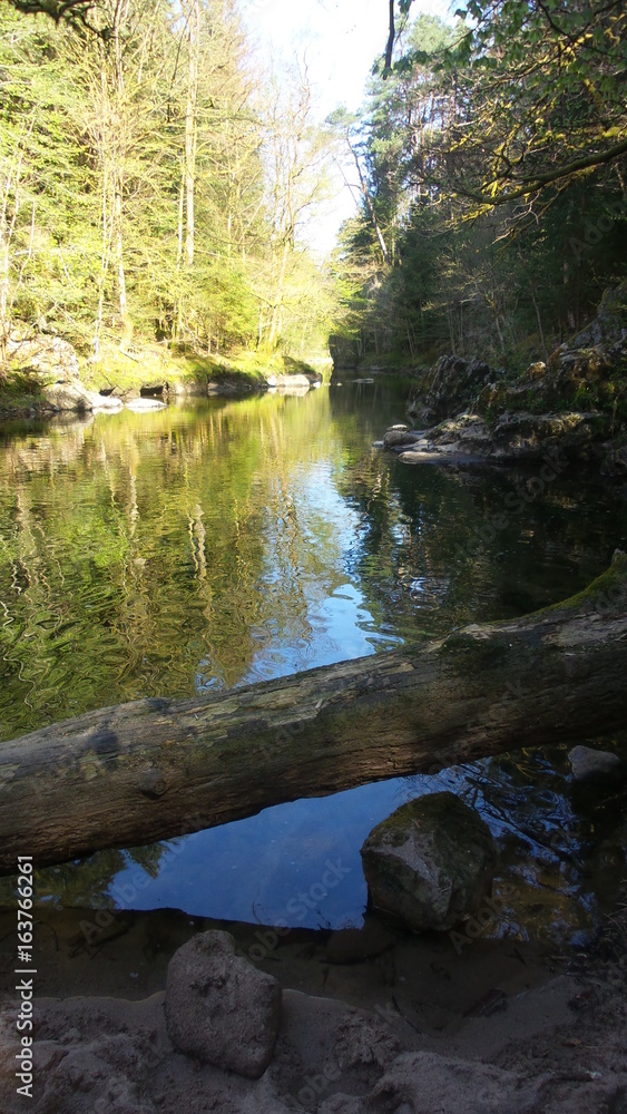 Fototapeta premium paysage