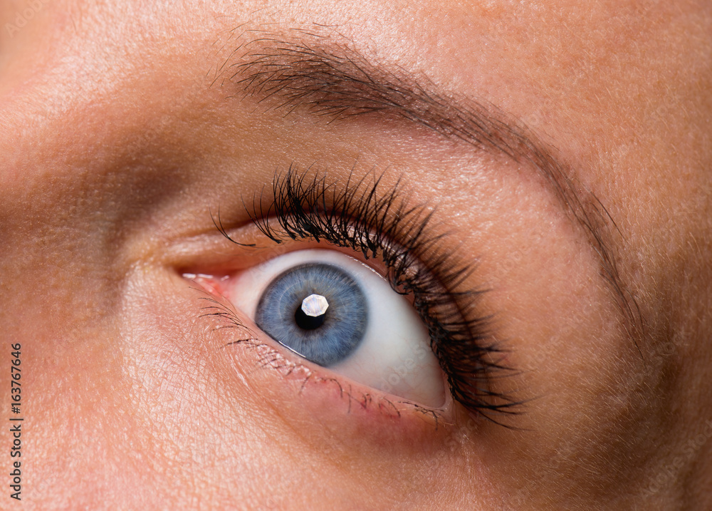 Fototapeta premium Close-up scared face of beautiful young woman with beautiful blue eyes and big pretty eyelashes and eyebrows. Macro of human eyes - surprise or shock, looking away.