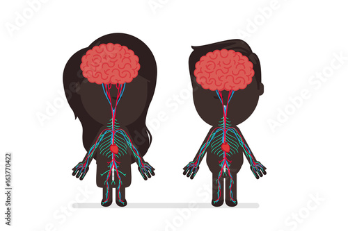 Human body anatomy vector illustration