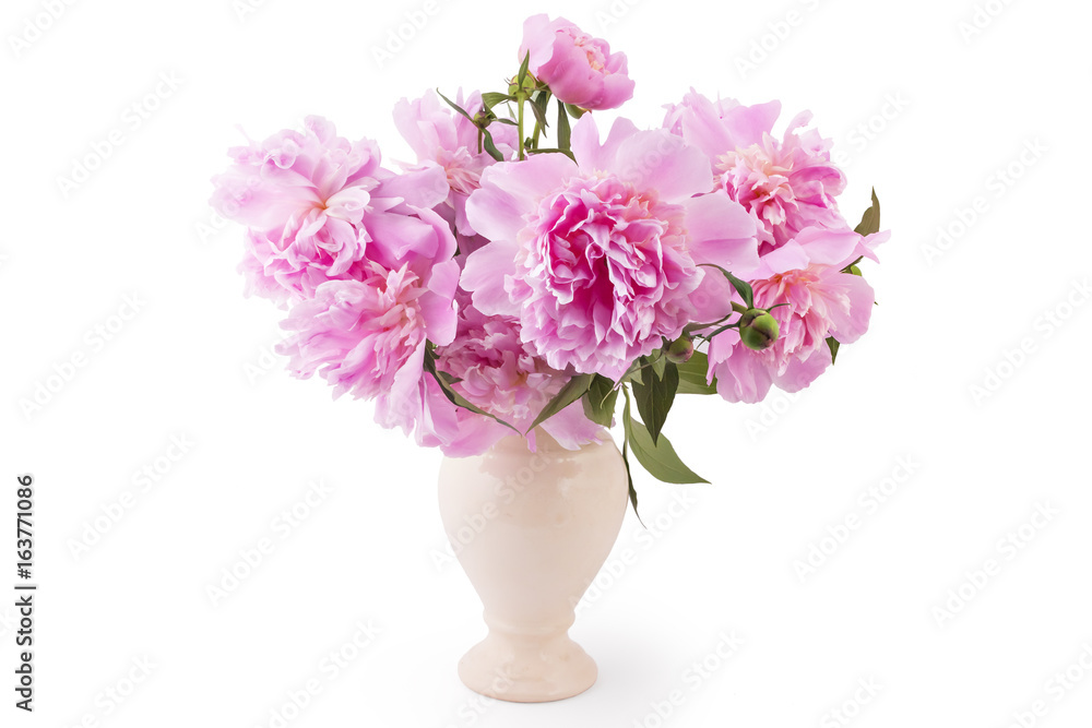 Bouquet of beautiful pink peony flowers, Paeonia lactiflora, i a vase isolated on white background