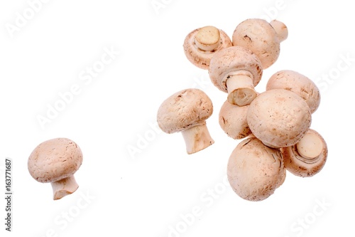 White mushrooms champignons isolated on a white background