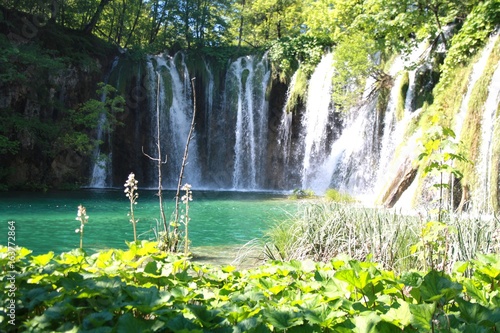 Fototapeta Naklejka Na Ścianę i Meble -  waterfalls in Plitvice park - Croatia