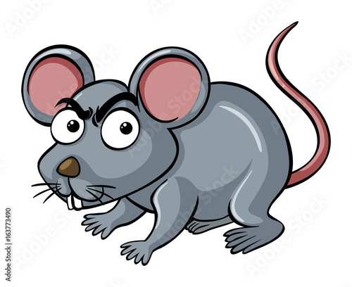 Little mouse with angry face