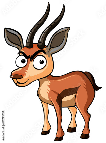 Deer with serious face