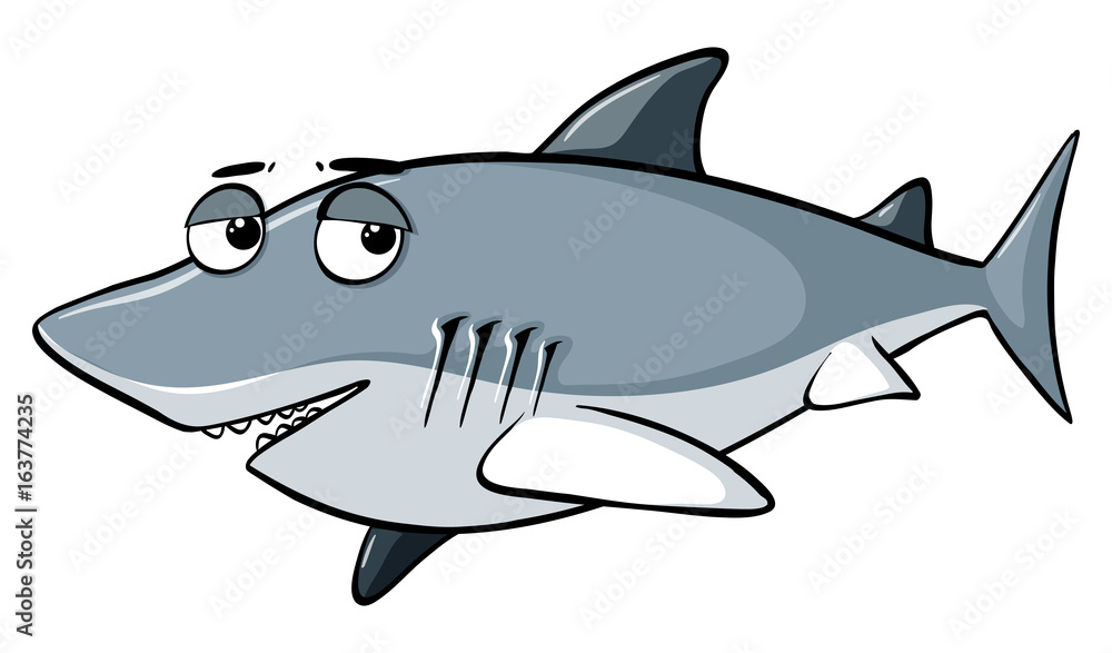 Obraz premium Gray shark on white background