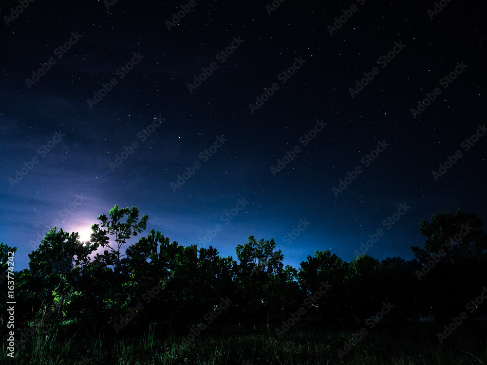 starry night with the moon in the forest starry night with the moon in the forest