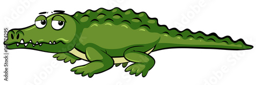 Sleepy crocodile on white background
