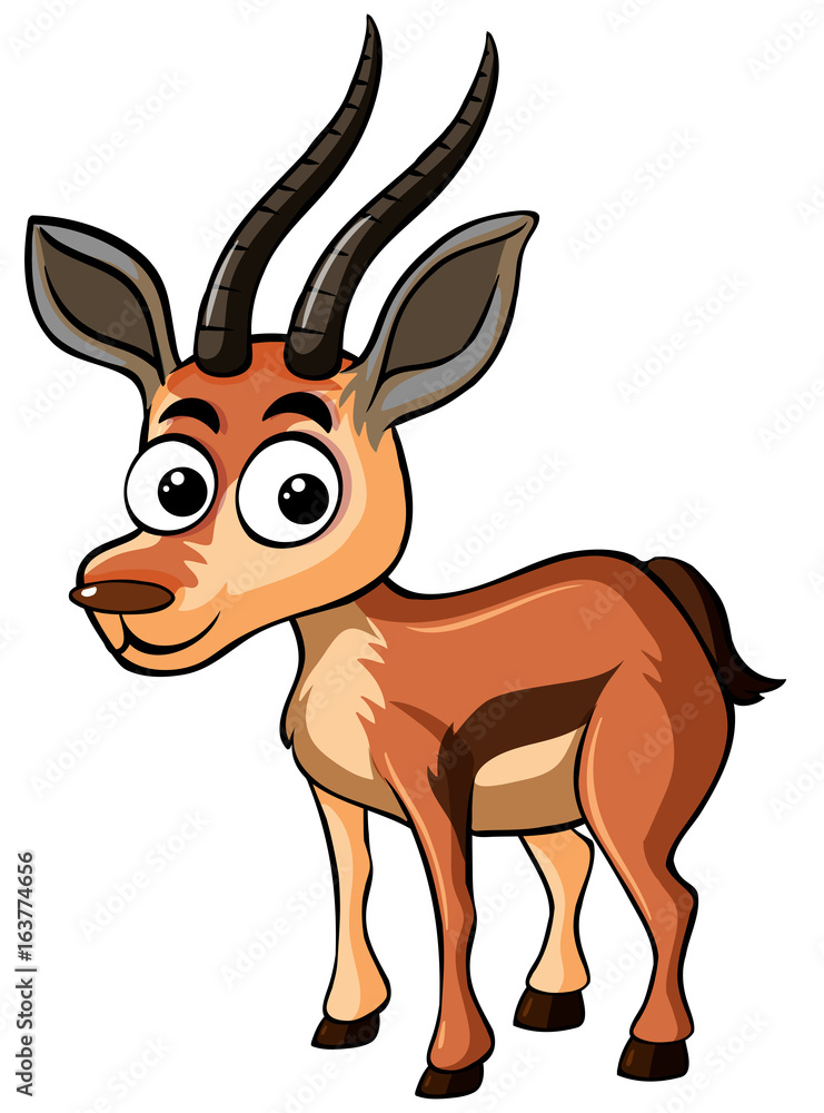 Little gazelle standing on white background Little gazelle standing on white background