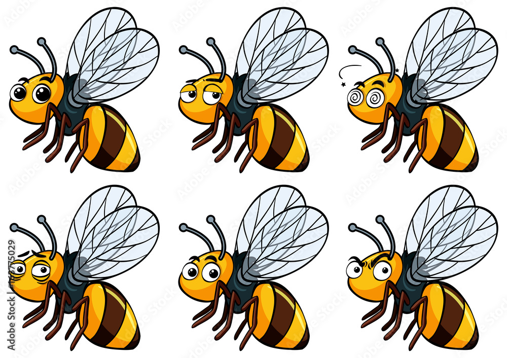 Bee with different facial expressions Bee with different facial expressions