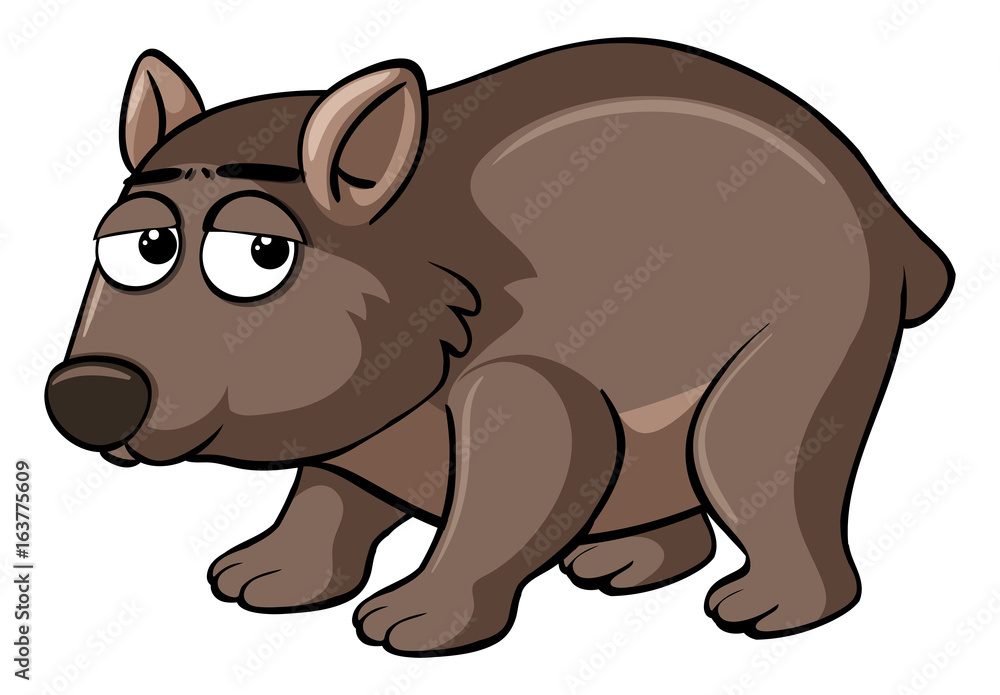 Brown wombat with sad face