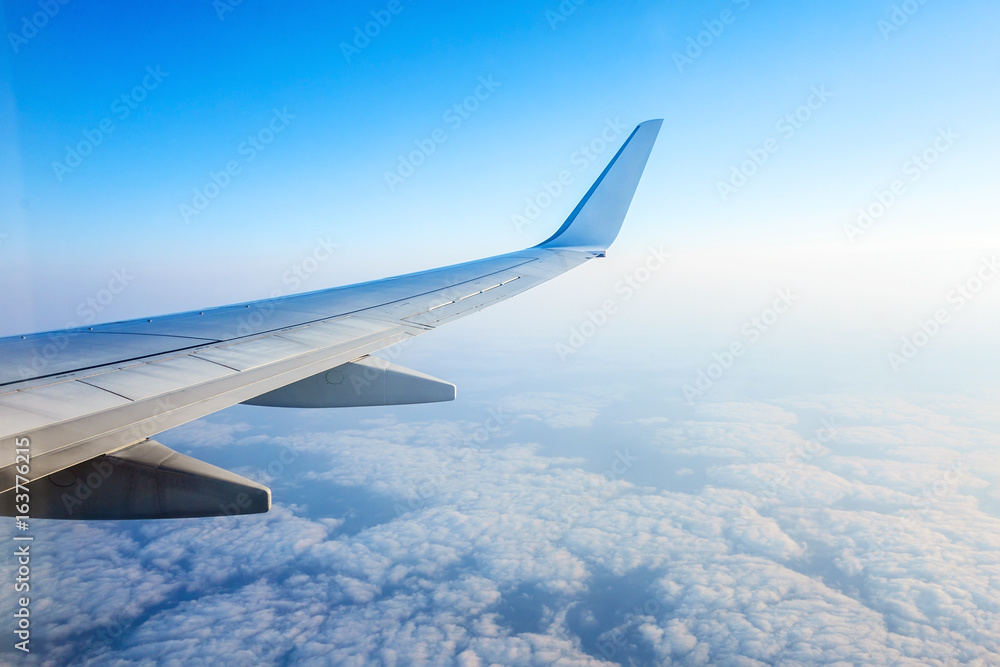 Wing of an airplane Wing of an airplane