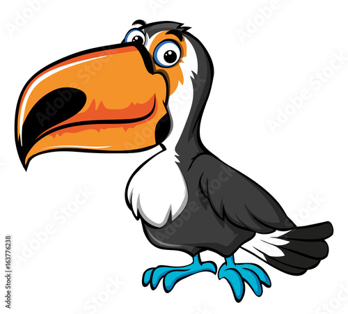 Cute toucan bird on white background